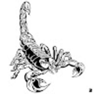 Meet your Posher, Chad